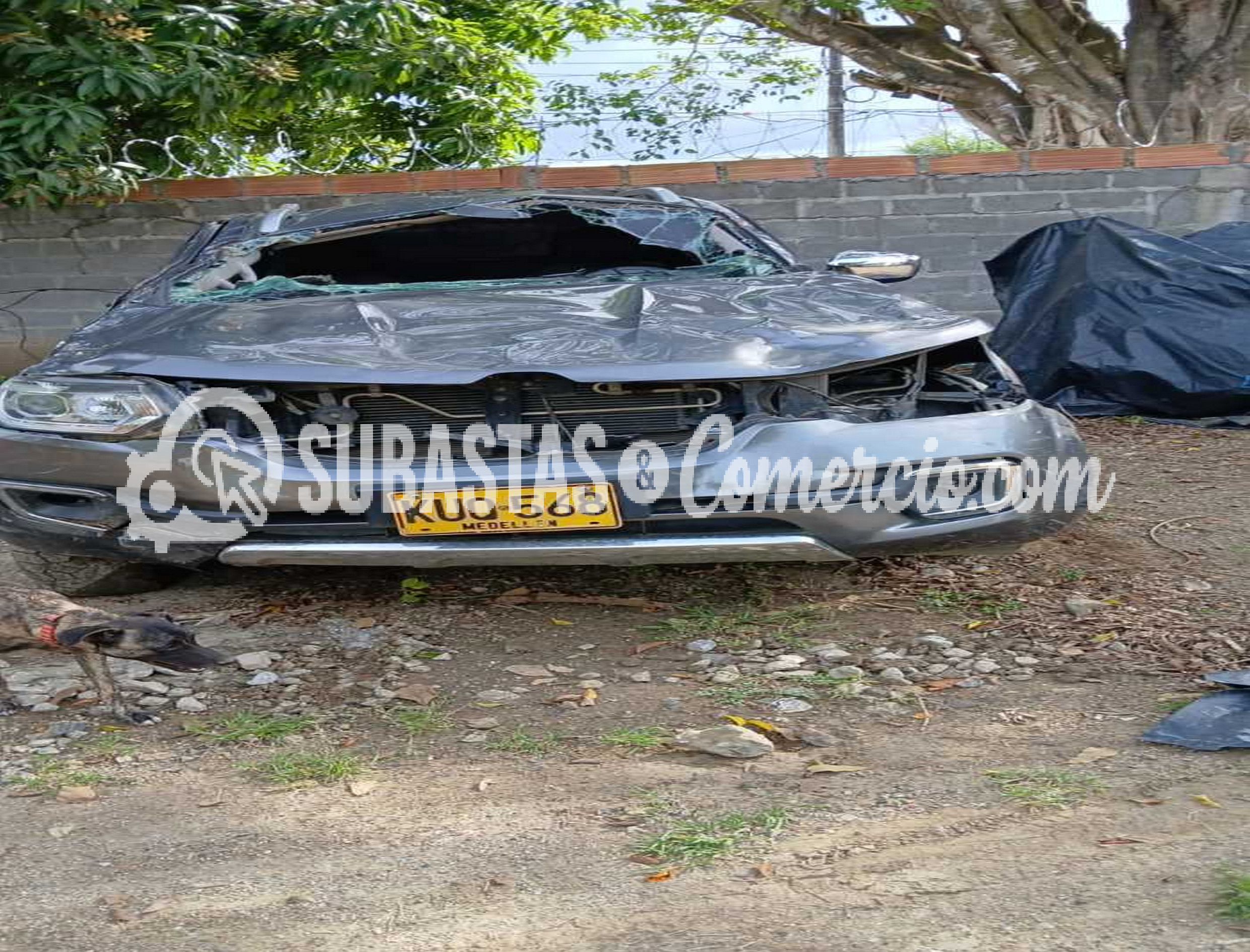 Imagen de WhatsApp 2025-09-02 a las 15.22.04_1cf8015c.jpg